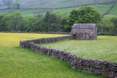 Wall-meadow