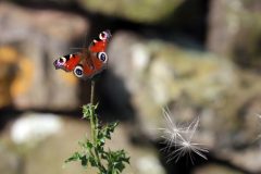 untitled-539